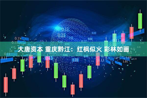 大唐资本 重庆黔江：红枫似火 彩林如画