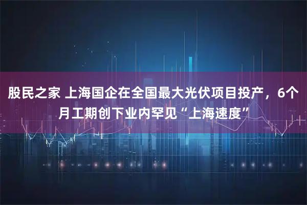 股民之家 上海国企在全国最大光伏项目投产，6个月工期创下业内罕见“上海速度”