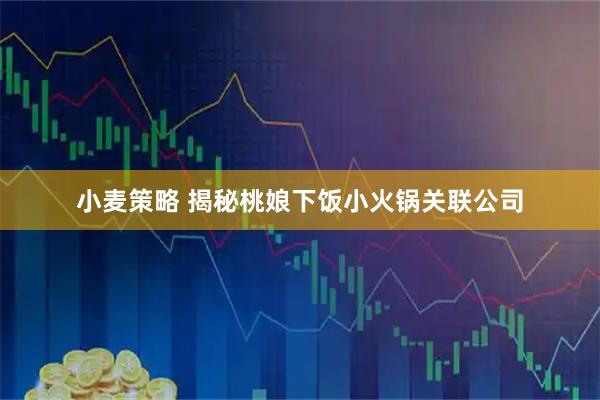小麦策略 揭秘桃娘下饭小火锅关联公司