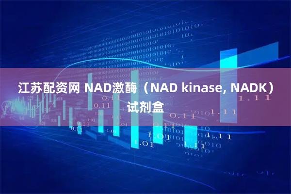 江苏配资网 NAD激酶（NAD kinase, NADK）试剂盒