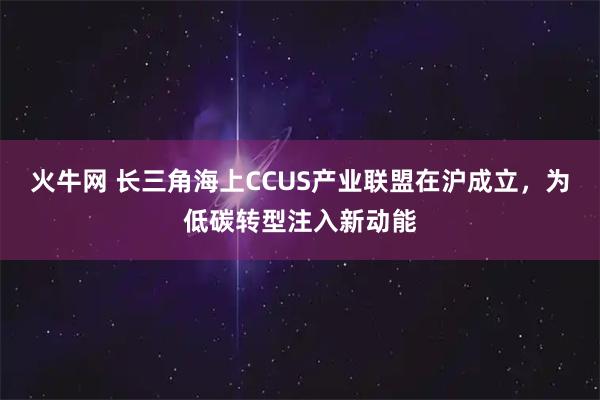 火牛网 长三角海上CCUS产业联盟在沪成立，为低碳转型注入新动能