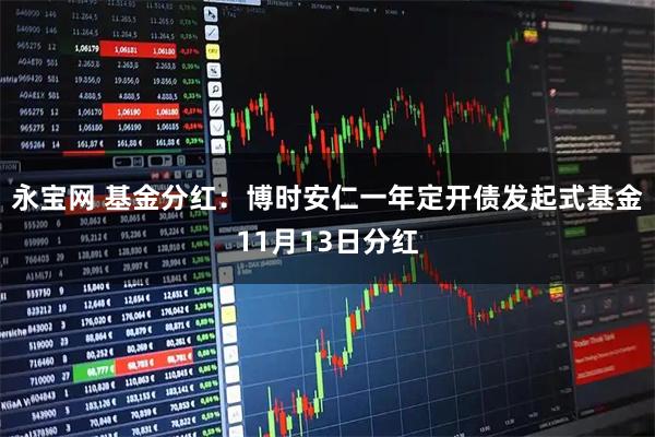 永宝网 基金分红：博时安仁一年定开债发起式基金11月13日分红