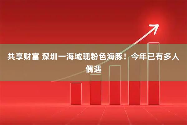 共享财富 深圳一海域现粉色海豚！今年已有多人偶遇