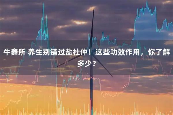 牛鑫所 养生别错过盐杜仲！这些功效作用，你了解多少？